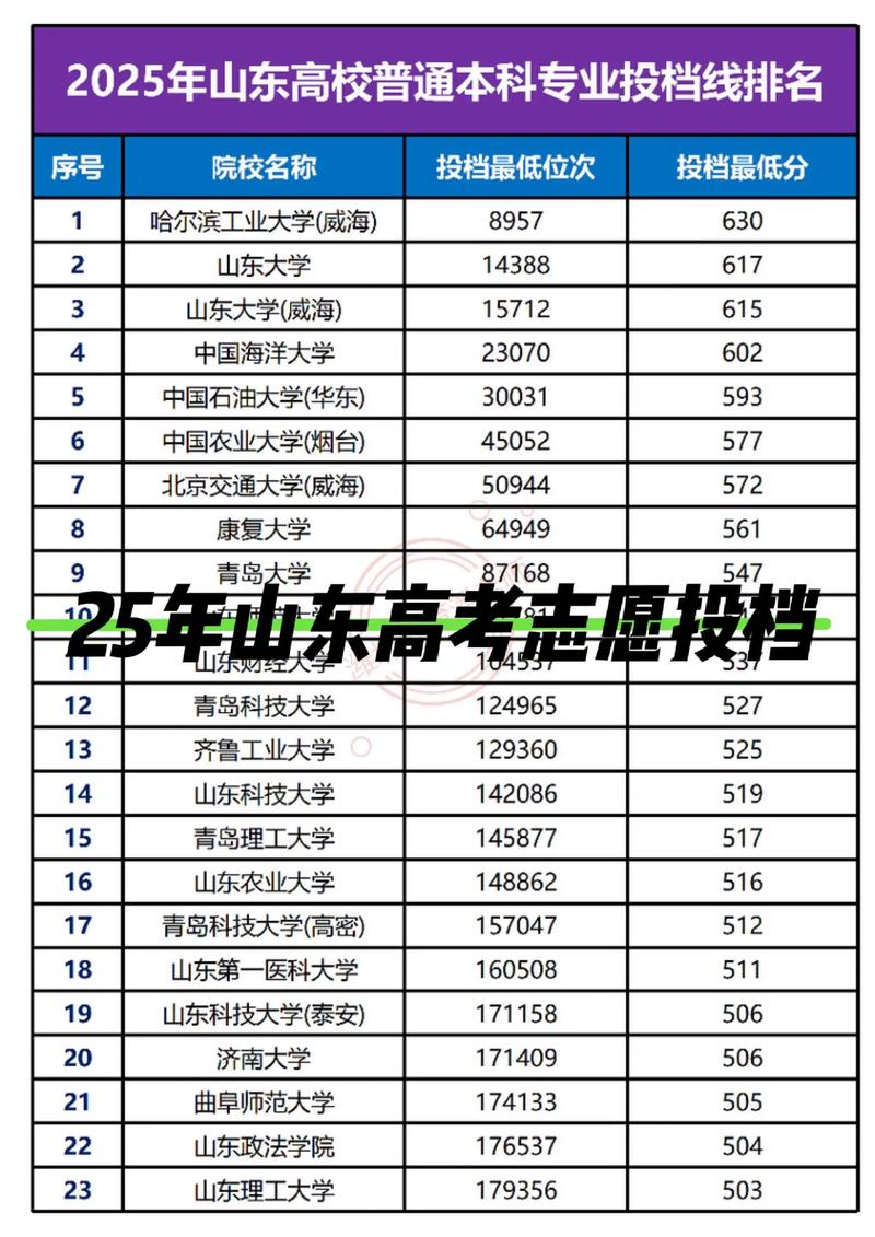 教育信息咨询